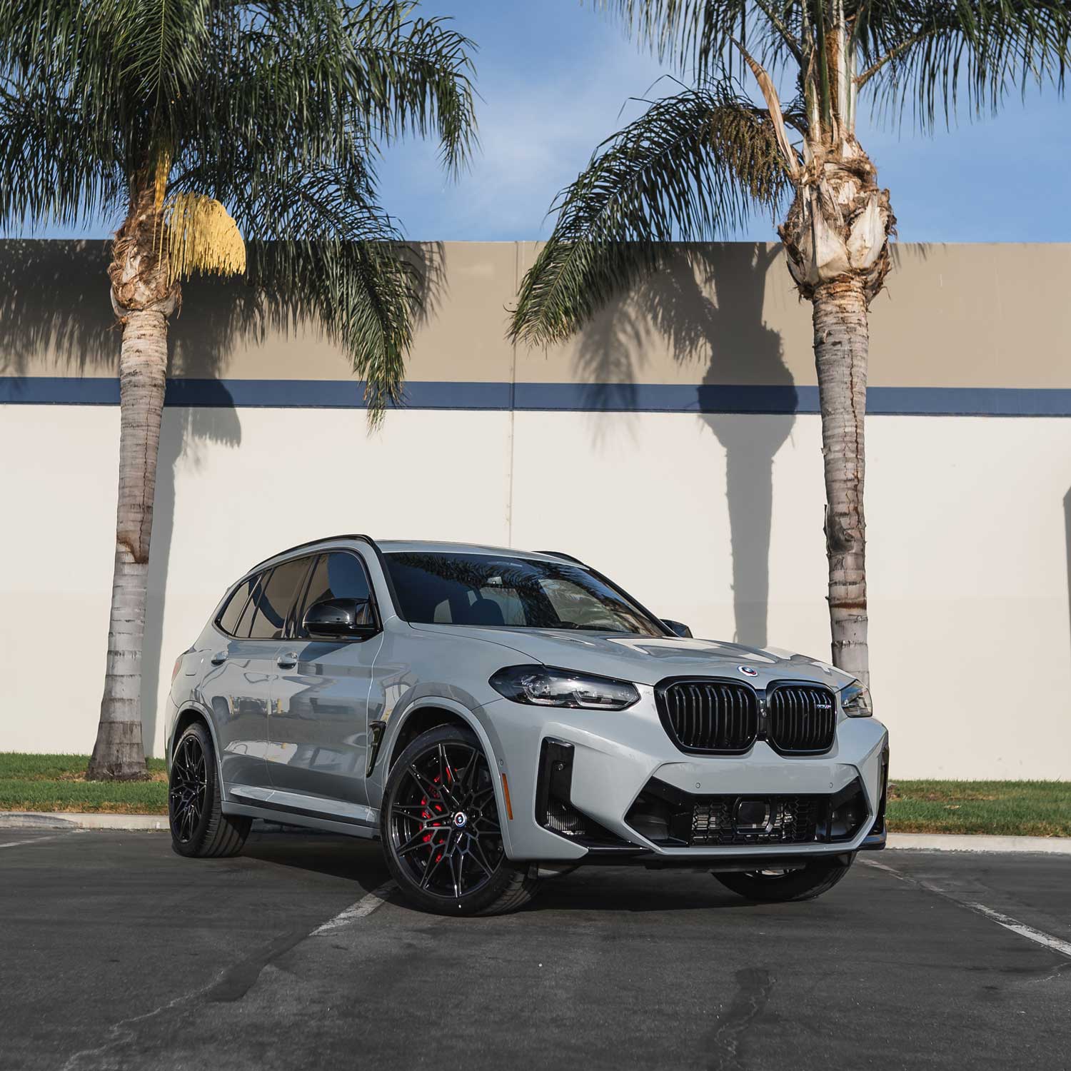 insta-image-bmw-x3m