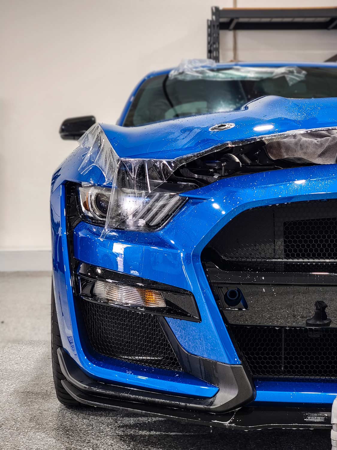 2021-blue-shelby-mustang-gt500-hood-paint-protection-film-installation