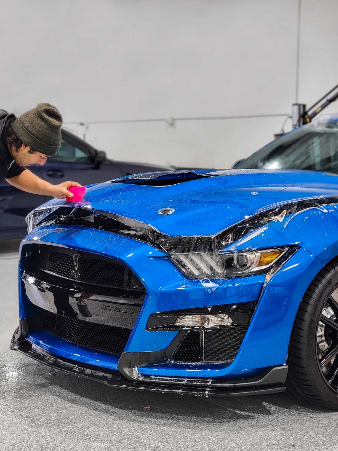 2021-blue-shelby-mustang-gt500-hood-ppf-installation