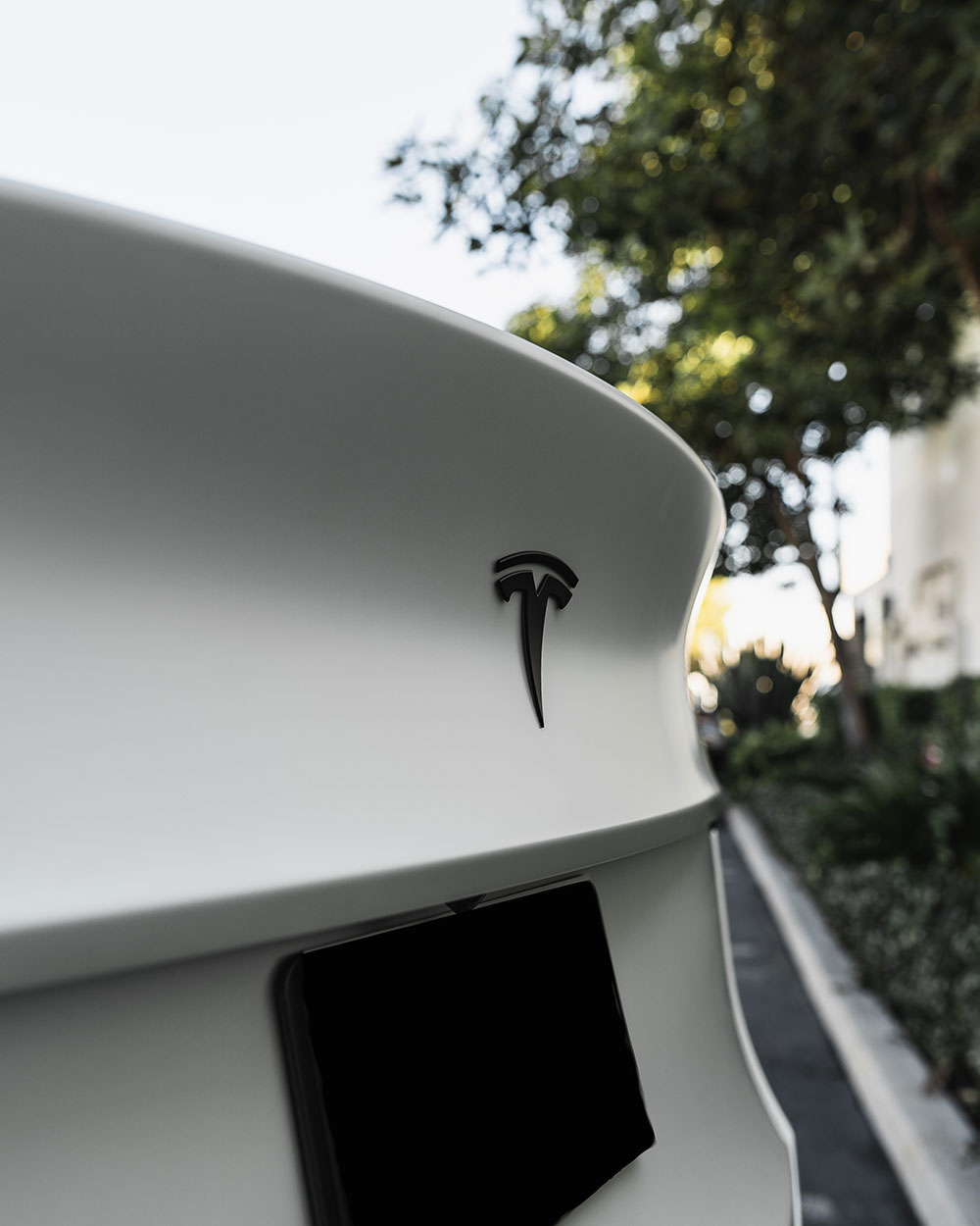 White Tesla Model Y Matte PPF with Stek DynoMatt Orange County CA-SFW-18