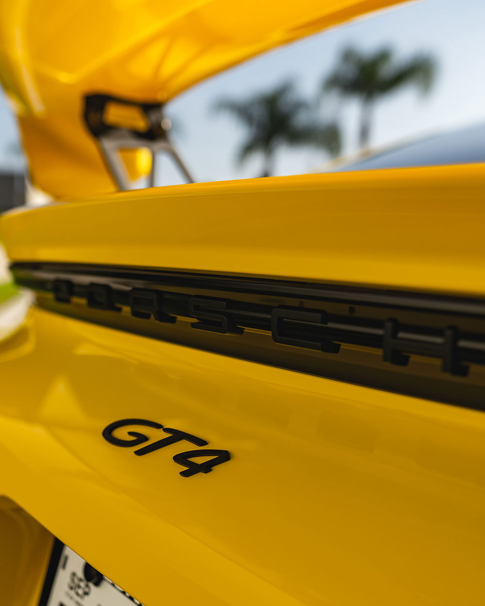 Yellow-Porsche-GT4-Full-Body-PPF-SFW-